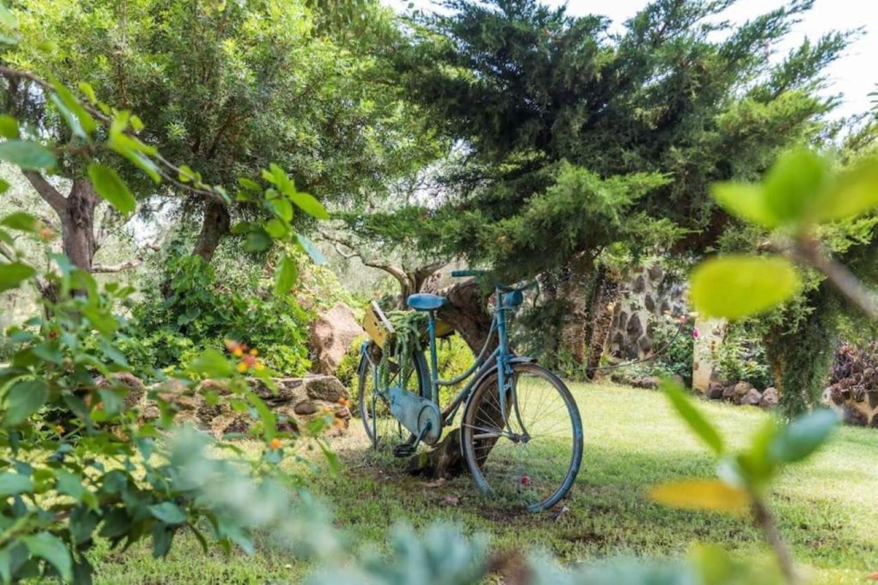 Villa Con Immenso Giardino Orosei Eksteriør bilde